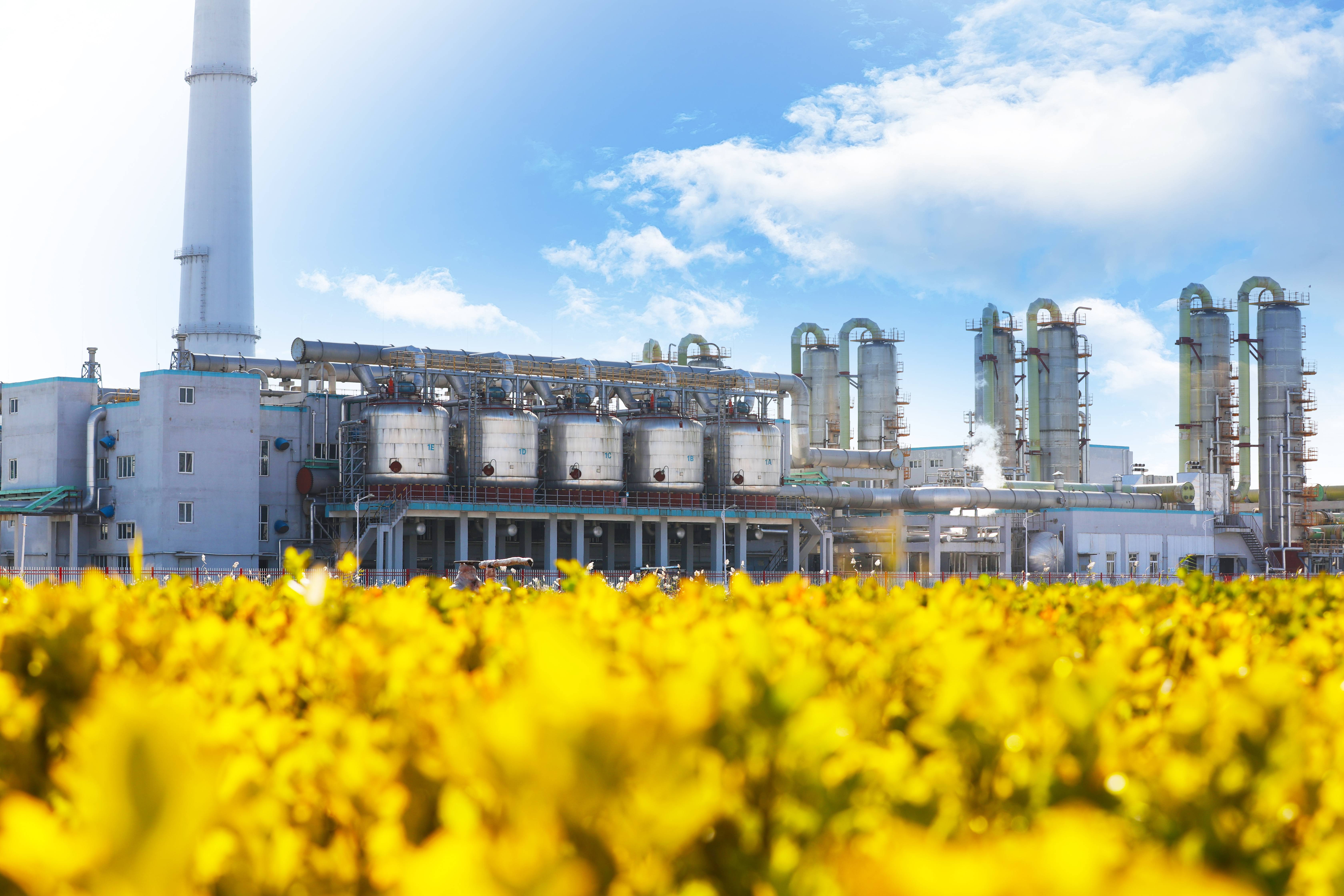 MILE���֡�(�й�)